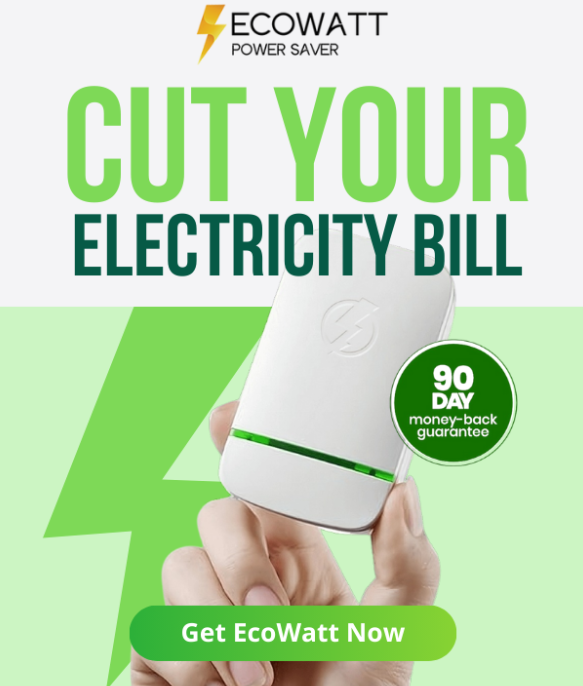 ecowatt power saver