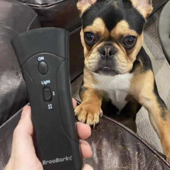 broobark